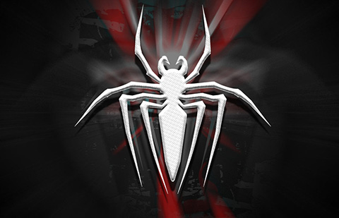 ҂ԓηspiderץȡr